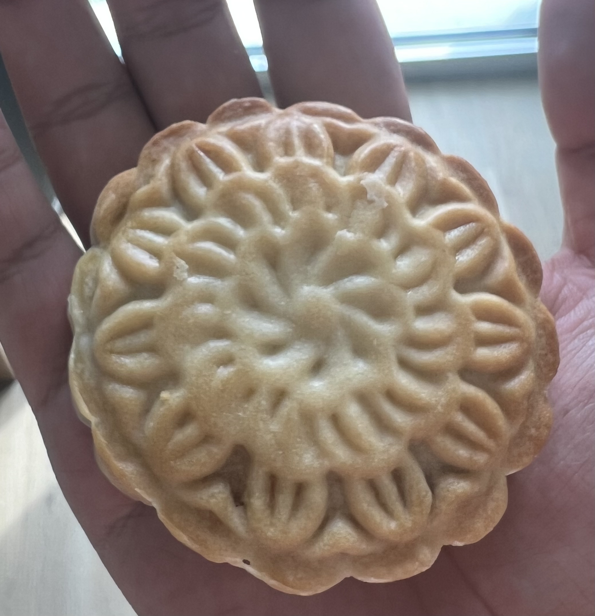 Guangdong mooncake